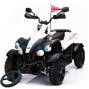 Replacement Steering Wheel for 12v Electric AQuad